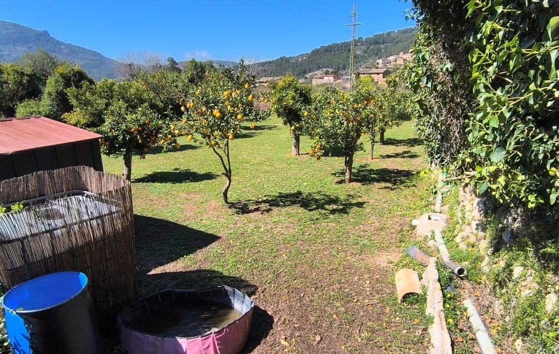 PHOTO-2026-03-17-18-51-19