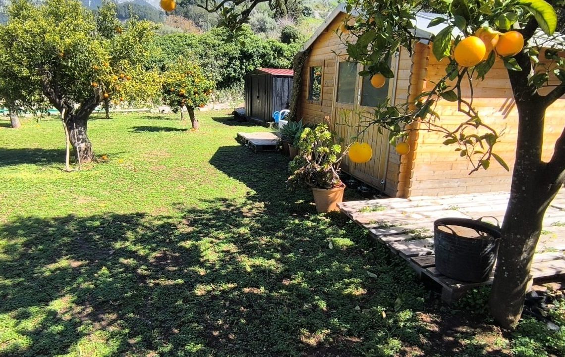 PHOTO-2026-03-17-18-51-20 (1)