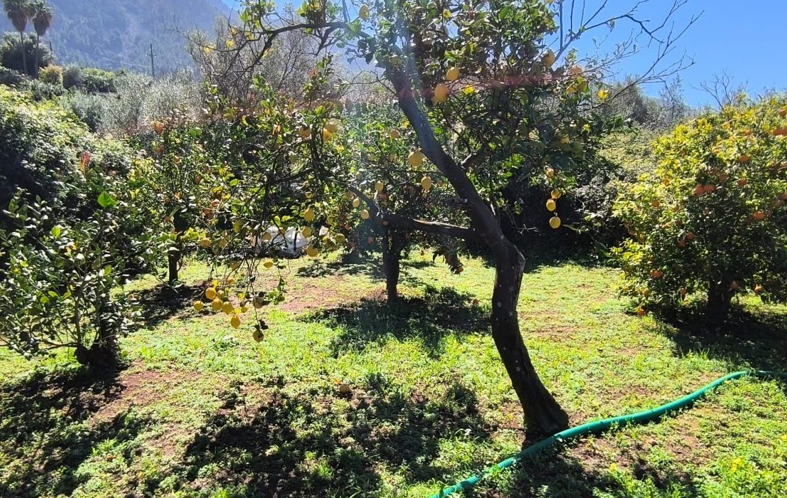 PHOTO-2026-03-17-18-51-20