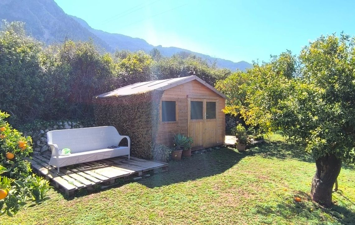 PHOTO-2026-03-17-18-51-21