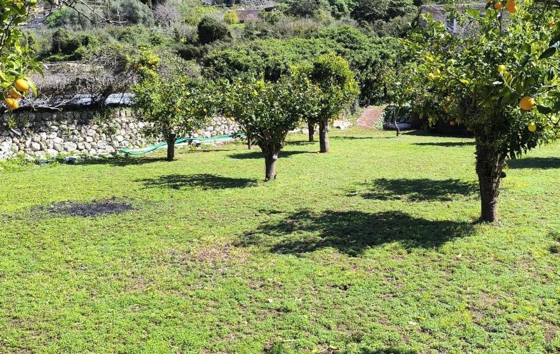 PHOTO-2026-03-17-18-51-22 (1)