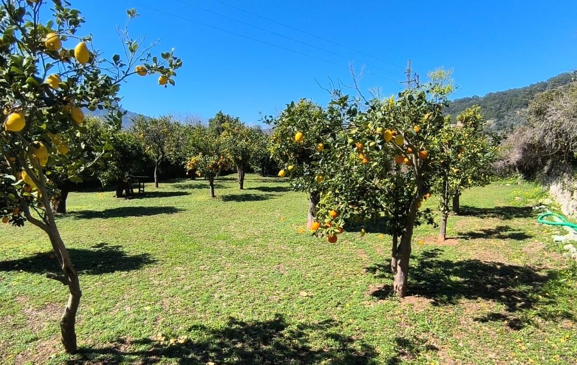 PHOTO-2026-03-17-18-51-22